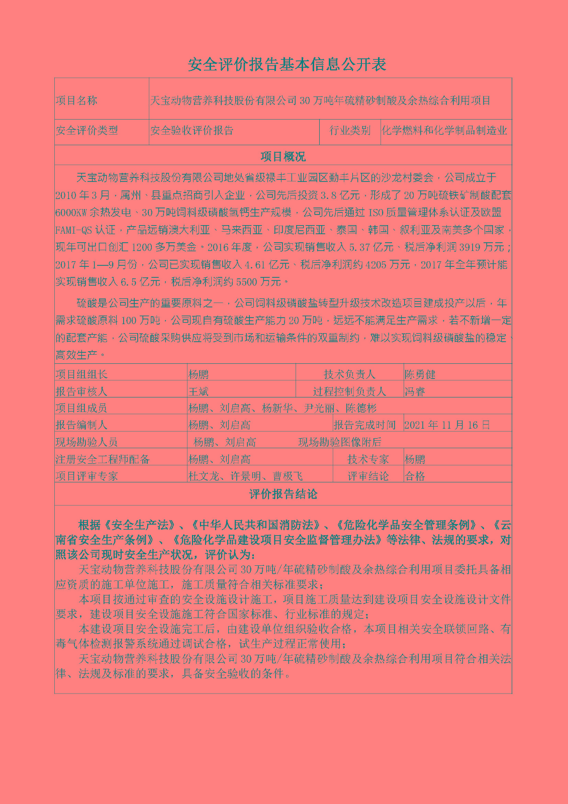 天寶安全評價報告基本信息公開表